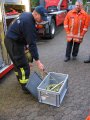Gefahrgutcontainer aus Uelzen