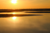 JF in Sankt Peter Ording