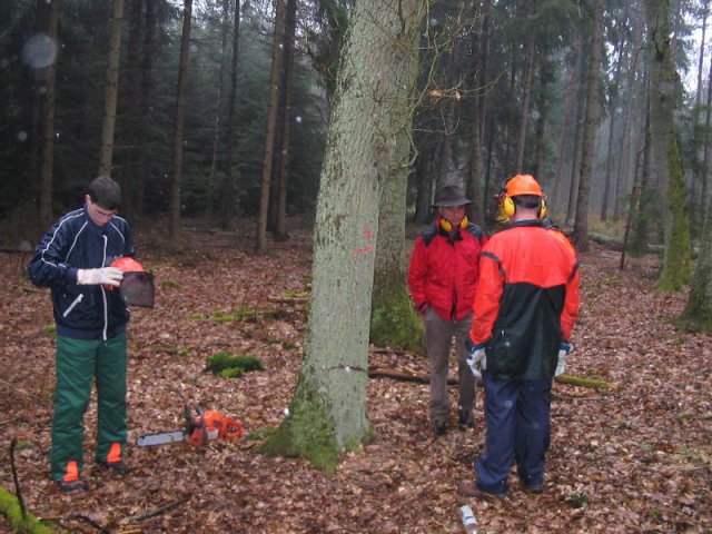 Kettensägenausbildung 2006
